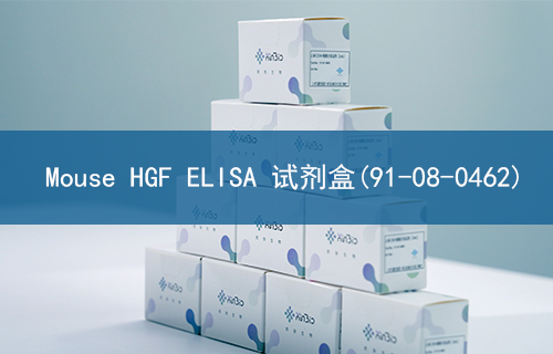 Mouse HGF ELISA 试剂盒(91-08-0462)